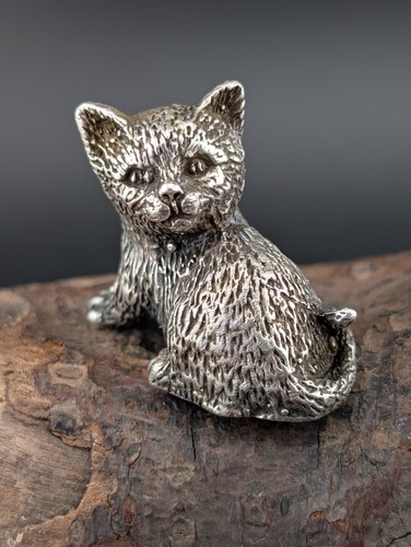 Miniatur katze kater - kater, tier