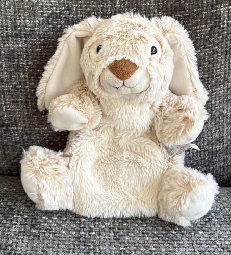 Histoire ours hase - histoire,