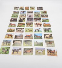 Panini sammelbilder pferde - panini,