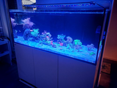 Komplettset red sea - red, reefer