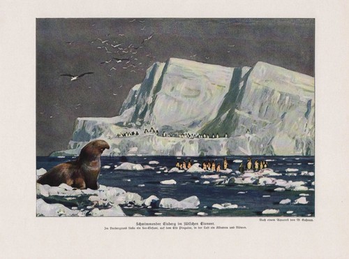 Südliches eismeer - südliches,