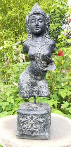 Shiva devi tara - shiva,