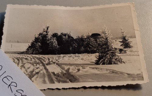 Altes foto vintage - vintage,