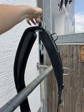 Longiergurt für Pferde, schwarzes Leder mit vielen Ringen