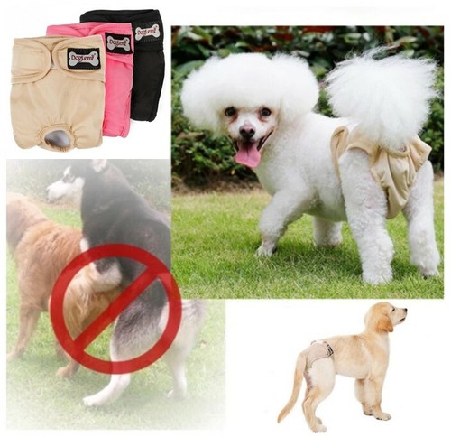 Hundehöschen hunde waterproof - hunde,