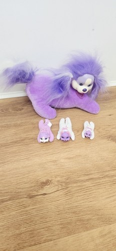 Puppy surprise coco her - &,
