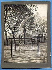 Photo, Bar Gymnast outdoors