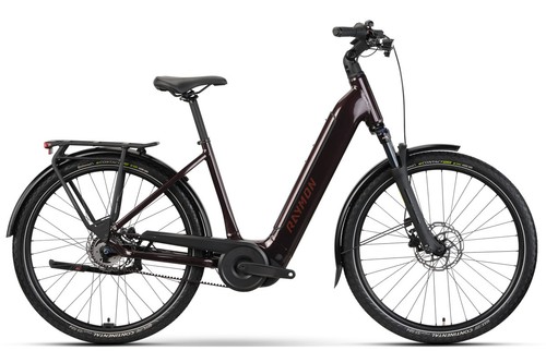 Raymon elektro fahrrad bosch - raymon, elektro-fahrrad