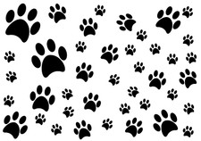 Pfoten Tatzen Pfote Katzenpfoten Aufkleber Hund Dog  Wandtattoo Sticker  AN69