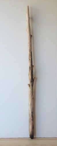 Treibholz schwemmholz - treibholz,