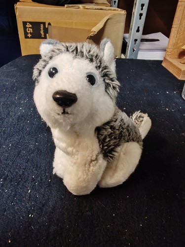 Plüschtier kleiner husky - plüschtier,
