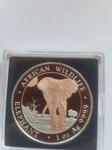 Somalia 100 shillings 2025 - shillings,