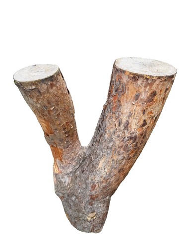 Kiefer stammgabel 90 - kiefer,