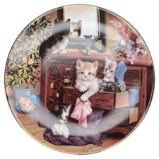 Im Wäschefach Bradex -