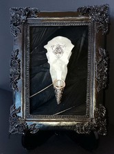 Raven Skull Wandskulptur Bild