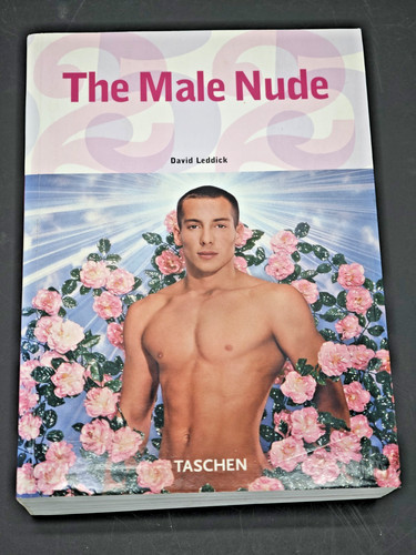 The male nude david - male,