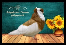 Fußmatte Schmutzfangmatte