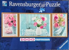 Ravensburger Triptychon 1000pc