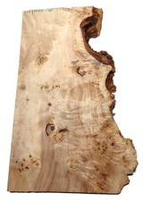 1x Pappel Maser Holz