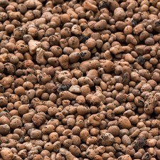 Blähton 8-16 mm Tongranulat