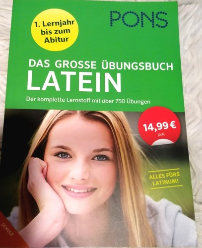 Pons das große übungsbuch - das,