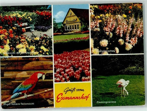 10234929 3262 deckbergen - -,