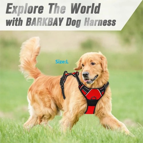 Hundegeschirr