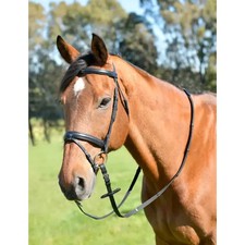 Kincade Classic Plain Raised