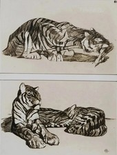 Mathurin MEHEUT: Der Tiger