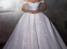 Brautkleid neu und ungetragen mit 2 Meter langer  Schleppe!