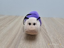 Walter Steinbeck Antonella