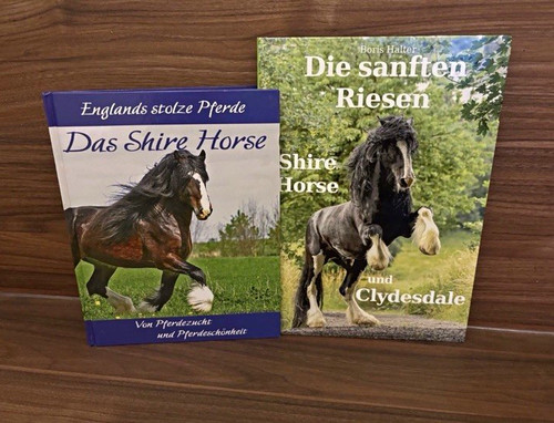 Buch boris halter - buch,