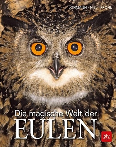 Michael lohmann die - michael, magische