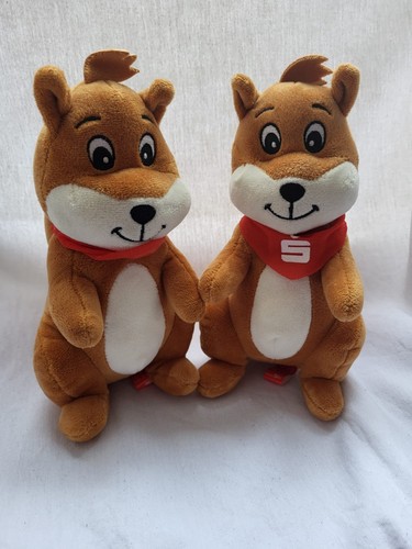 Eichhörnchen sparkasse - eichhörnchen,