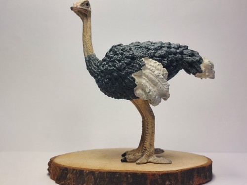 Schleich strauß 14744 - strauß,