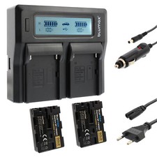 2x Akku + Lader für Sony