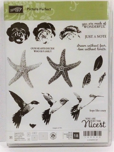 Stampin stempelset picture - up, "picture