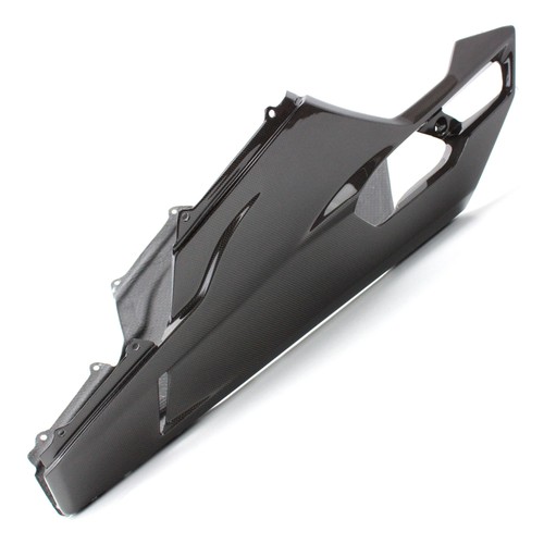 Carbon bugspoiler für ducati - bugspoiler,
