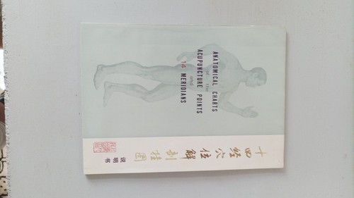 Anatomische diagramme der - diagramme,