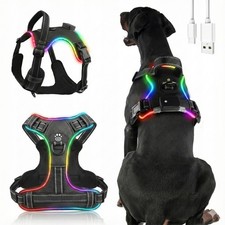 Hundegeschirr Leuchtend
