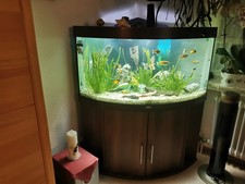 Eckaqarium 350L. Und Viel