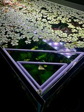 Schwimmender Dreieckiger Aquarienring | Pflanzen und Futterring für Aquarium