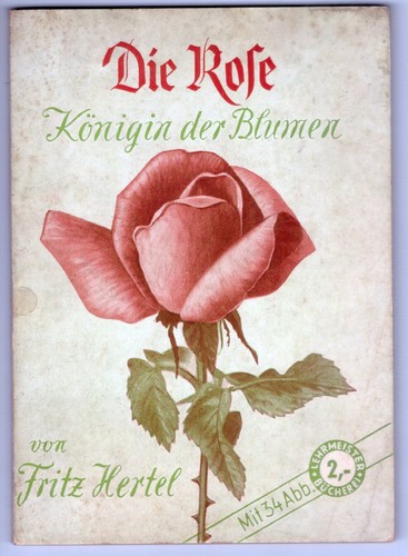 Die rose königin der - -,