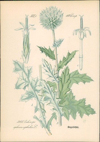 Chromolithographie - ,