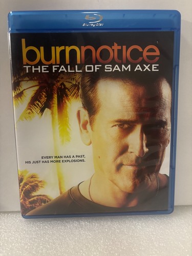 Burn notice the fall sam - burn,