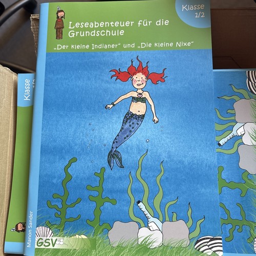 Buch zum sinnentnehmenden