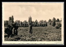 Kauf-Foto, Lüneburger Heide