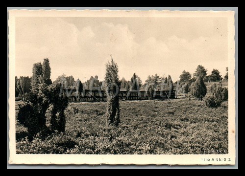 Kauf foto lüneburger heide - kauf-foto,,