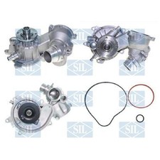 Saleri SIL Wasserpumpe