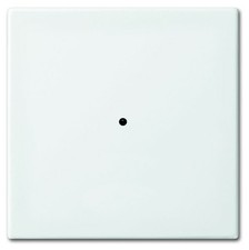 Busch-Jaeger Wandsender